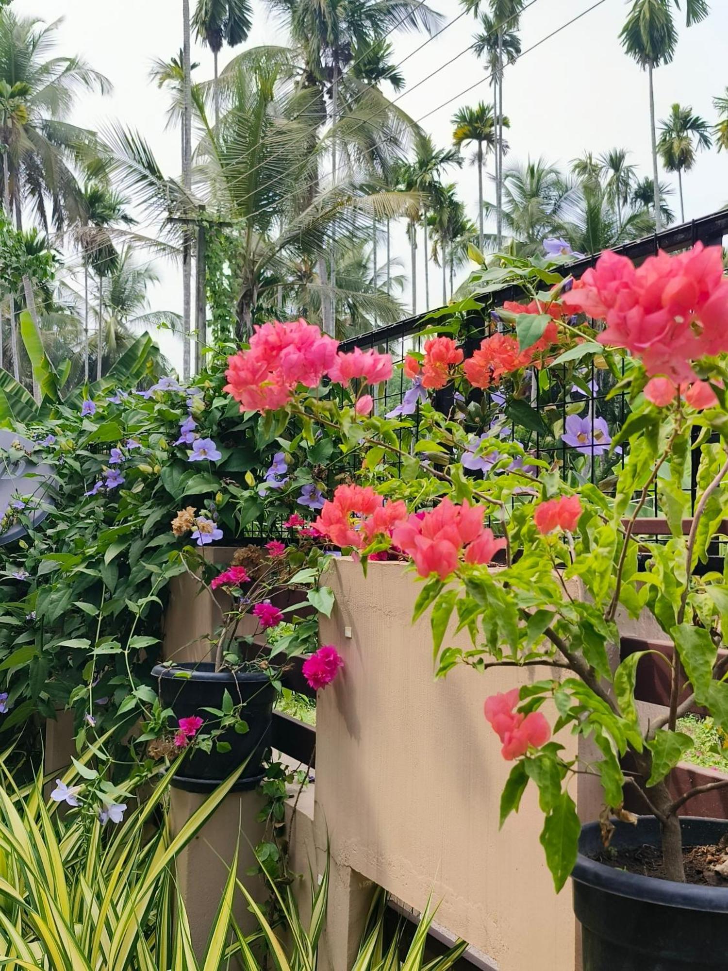 Swasth The Riviera Lovedale Nilambur Ruang foto